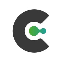City Connect USA - Solutions In Technology LLC Logo
