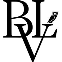 Bright Link Ventures Ltd Logo