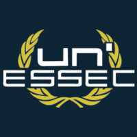 UNESSEC Logo