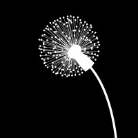 Multitude Films Logo