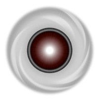 NETFOCUS Internet Services Logo