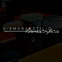 Vismara Attilio srl Logo