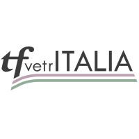 TF VETRITALIA SRL Logo