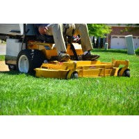 Royal Lawn Care RLClawns.com Logo