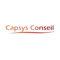 Capsys Conseil & Etudes Marketing Logo