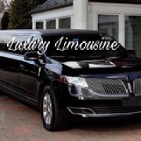 Luxury Limousine Logo