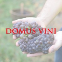 Domus Vini Srl Logo