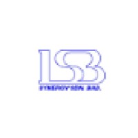 LSB Synergy Sdn. Bhd. Logo