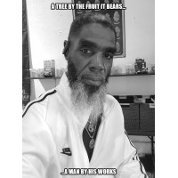 The Ark Project LLC Logo