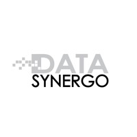 Data Synergo Sdn Bhd Logo