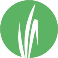 Capim Logo