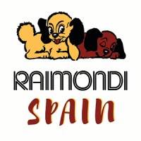Raimondi Spain, S.L. Logo
