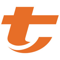 T Engenharia e Sistemas (TEES) Logo
