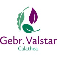 Gebr. Valstar B.V. Logo