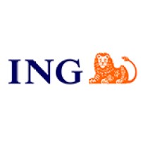 ING Usługi dla Biznesu S.A. Logo