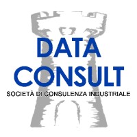 Data Consult srl Logo