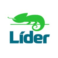 Líder Desinsetizações Logo