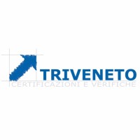 Triveneto Srl Logo