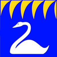 Swanson Consulting Logo