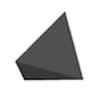 Niche Theory Holdings Logo