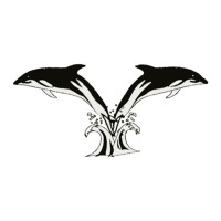 ASKÖ Schwimmclub Steyr Logo