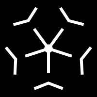 The Virian Project Logo