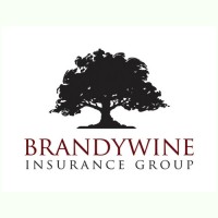 Brandywine Insurance Group Logo