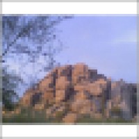 Frances Flynn Thorsen Real Estate School Logo