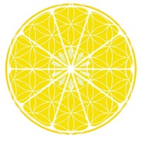 Lemon City Studios Logo