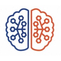 Synapses IOM LLC Logo