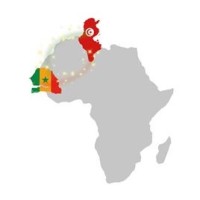 CTSCI - Chambre Tuniso-Sénégalaise de Commerce et dIndustrie Logo