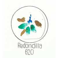 Redondilla620 Logo