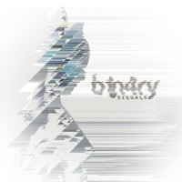 b1n4ry Visuals Logo