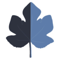 A.A.Figueiredo Ltda. Logo
