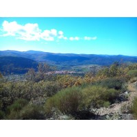 Another Voice Translations Logo