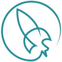 SPIN - Space Innovation Logo