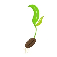 Life Lessons Logo