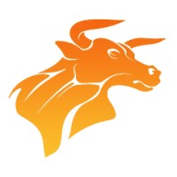 El Toro Systems FZC LLC Logo