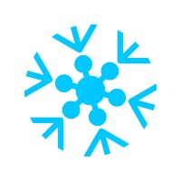 Arctic Security Ltd Logo