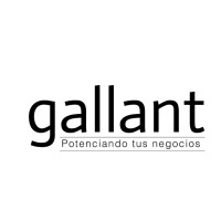 Gallant Group Logo