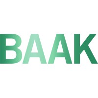 BAAK Blankenburgverbinding Logo