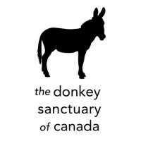 The Donkey Sanctuary of Canada Logo