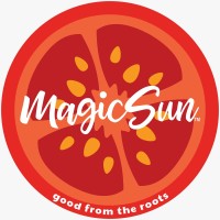 Magic Sun Logo