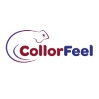 CollorFeel Logo