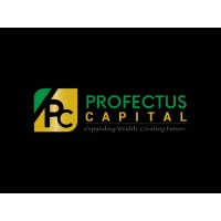 Profectus Capital Limited Logo