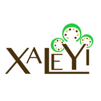 Xaleyi - Les Enfants dAvenir Logo