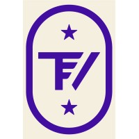 TrueView Financial Logo