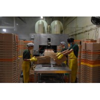 BoxSys Canada Inc.- Sanitation and Cleaning of all types of plastic containers and pallets Logo