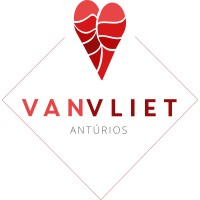 Van Vliet Logo