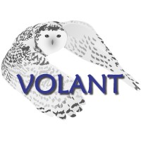 Volant Security Systems Ltd Logo